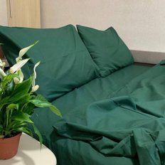 Однотонний комплект постільної білизни з бязі Голд Люкс - Зелений однотон полуторний